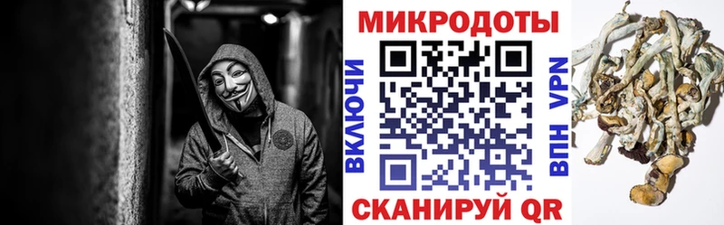 Псилоцибиновые грибы Cubensis  Купить  Александров 